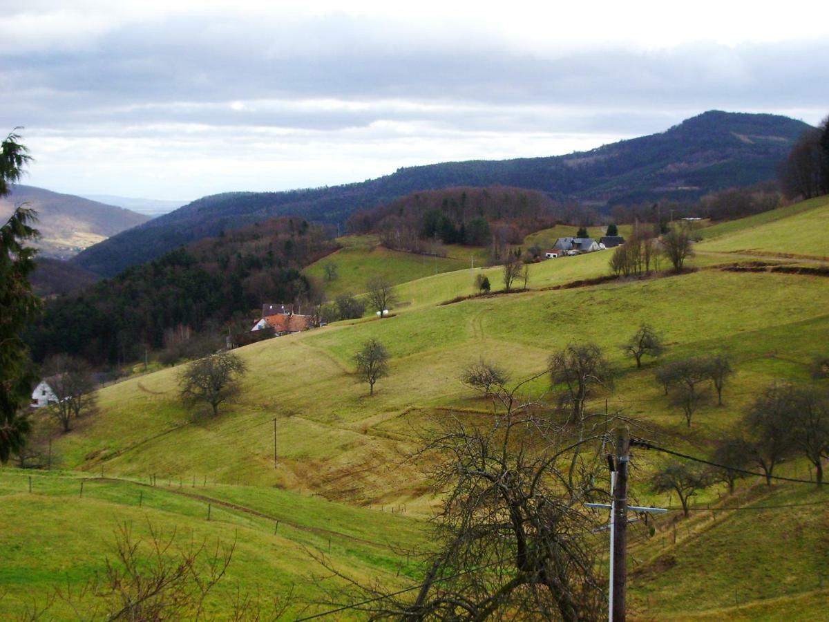 Hebergement Du Chene Freland ภายนอก รูปภาพ